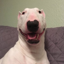 Donate for walter