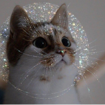 goldkitten