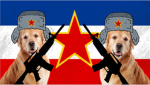 #US army