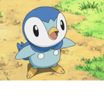 Piplup Army!
