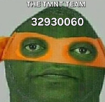 THE TMNT TEAM