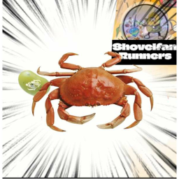 [2024 REMAKE] SAVE BUSINESS CRABS!! Adventure Obby