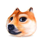 The Doge Love