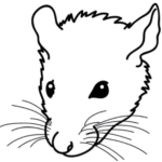 SmallRatland