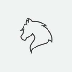 ~ Equine Academy ~