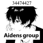 AIDENDH’S GROUP