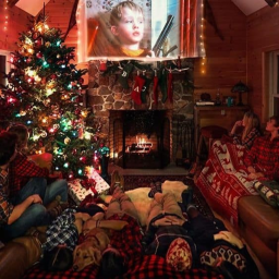 🎄