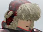 USHANKA HOUSE