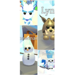 Pet City!