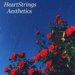 HS Aesthetics