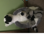 Lemurhouse
