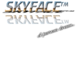 SKYFACE™' HQ