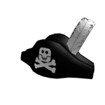 Pirate Hat!