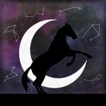 Moonlight Riders Academy