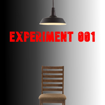 The Teleportation Experiment