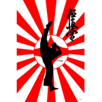Kyoko-Shin Karate