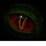Reptile Productions+