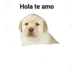 Solo primos :>