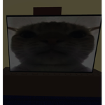 N0T LXST