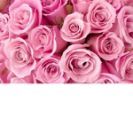 flowerthegreet1111