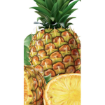 The Pineapple Orange Group