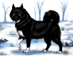 The Dog Loving Paws Group