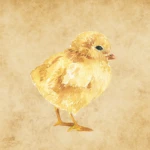 Harold's Stuff Group Thumbnail