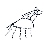 The horse was here