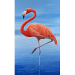 Flamazing Flamingos
