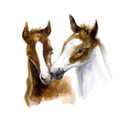 Whitebrook Farms
