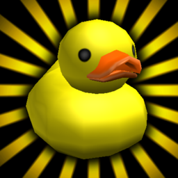 The Duck Zone
