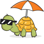 Turtle's United!