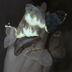 Butterfly sparky