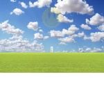 [ DreamLand ]