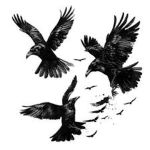 cRoW"