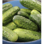 pickle squad assisted by unicornpower80809 and leg