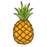 PineappleBaconHair Fans