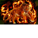 Power Of The Tiger