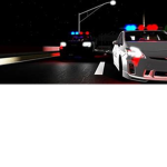 POLICE OFFICER LAPD