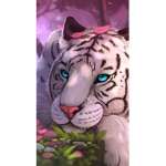 Tiger Cage Clothing