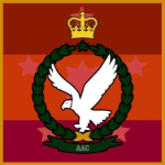 |NA| HM’s Noob Army Air Corps [AAC]