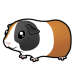 Animal goup