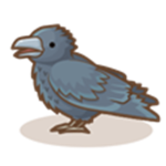 the crowz.