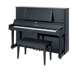 Jocko's Piano: Return of the Storm