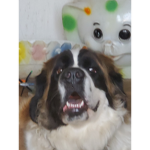 Roblox is so much fun :)