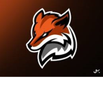 #Team Foxes