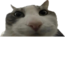POV: You are my cat at 3:00am