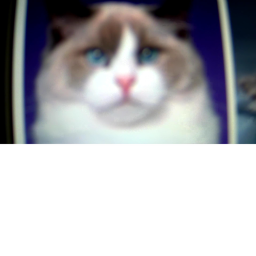 ragdoll game