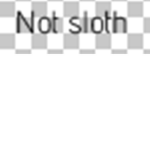 Da Sloths!