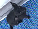 Itzcodebruh
